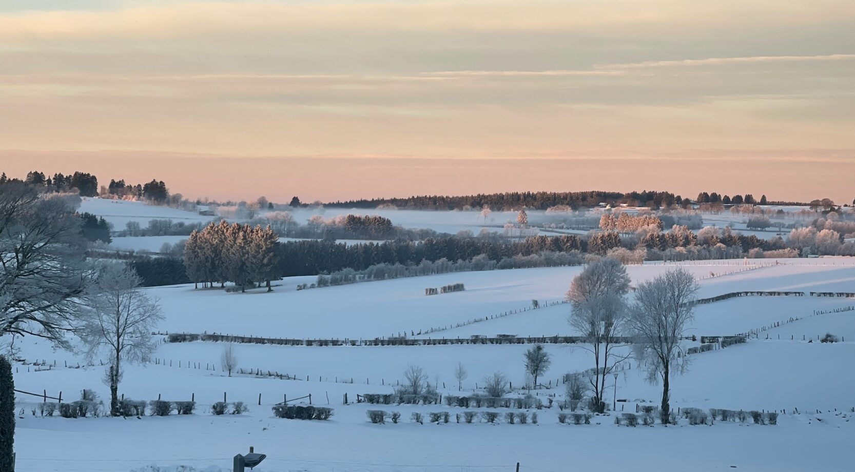 D9BBC3FE-3A46-4E68-A09C-82F965B5B1D3